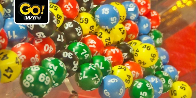 Có nhiều loại hình hấp dẫn cho người chơi chọn