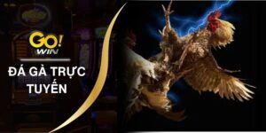 Đá Gà Trực Tuyến Rinh Thưởng Khủng Với 3 Tip Cực Hay