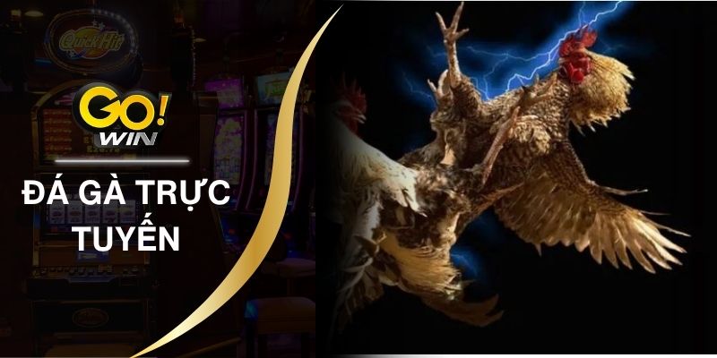 Đá Gà Trực Tuyến Rinh Thưởng Khủng Với 3 Tip Cực Hay