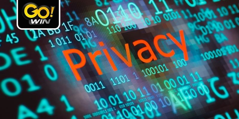 Giới thiệu đôi nét về chính sách quyền riêng tư Gowin