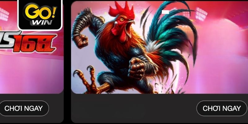 Kết quả cá cược đá gà trực tuyến phụ thuộc vào nhiều yếu tố