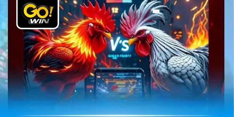 Xem lịch sử thi đấu để chọn cửa cược chuẩn xác