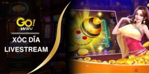 Khám Phá Xóc Đĩa Livestream Cực Hot Tại Cổng Game Gowin